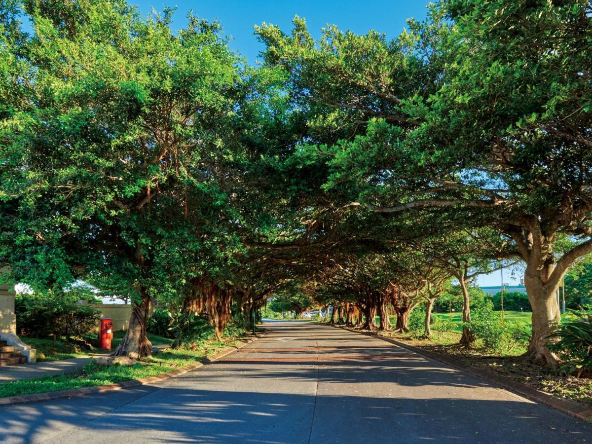 호텔 니코 알리빌라 요미탄 외부 사진 The Avenue of the Oaks